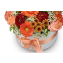 Box of orange flowers